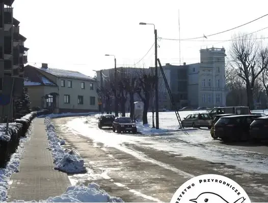 Opolskie Towarzystwo Przyrodnicze zaprasza na spacer po Kietrzu