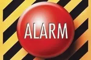 Alarm dla OSP Branice: Usuwanie gniazda owadów błonkoskrzydłych w Wiechowicach