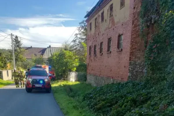 Kolizja samochodu elektrycznego w Radyni. Interweniowały służby ratunkowe